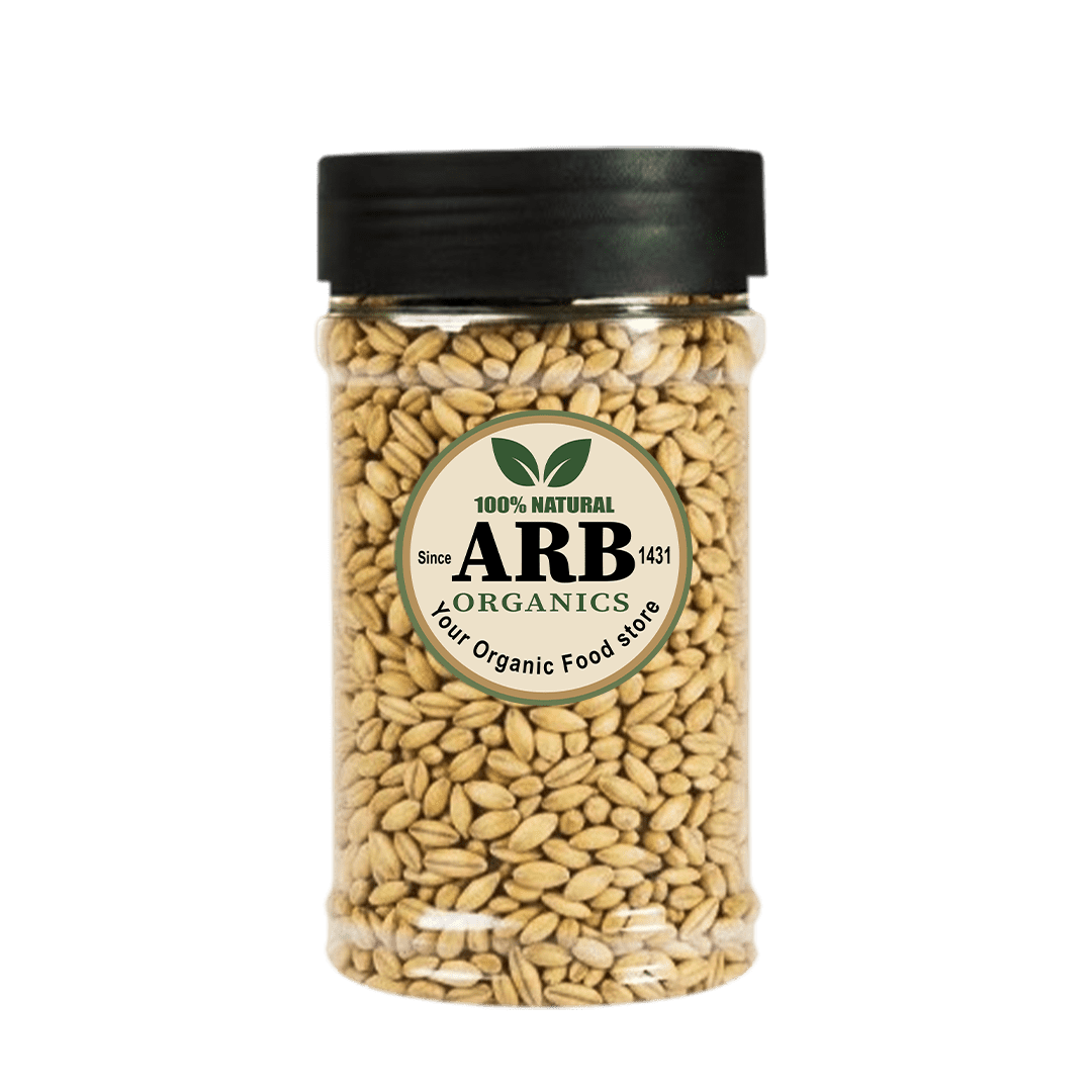 Jou (Barley) Seeds Jou Desi (Barley Organic Seed) Non-Hybrid Seeds - Image 1